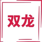 高邮市双龙消防设备有限公司